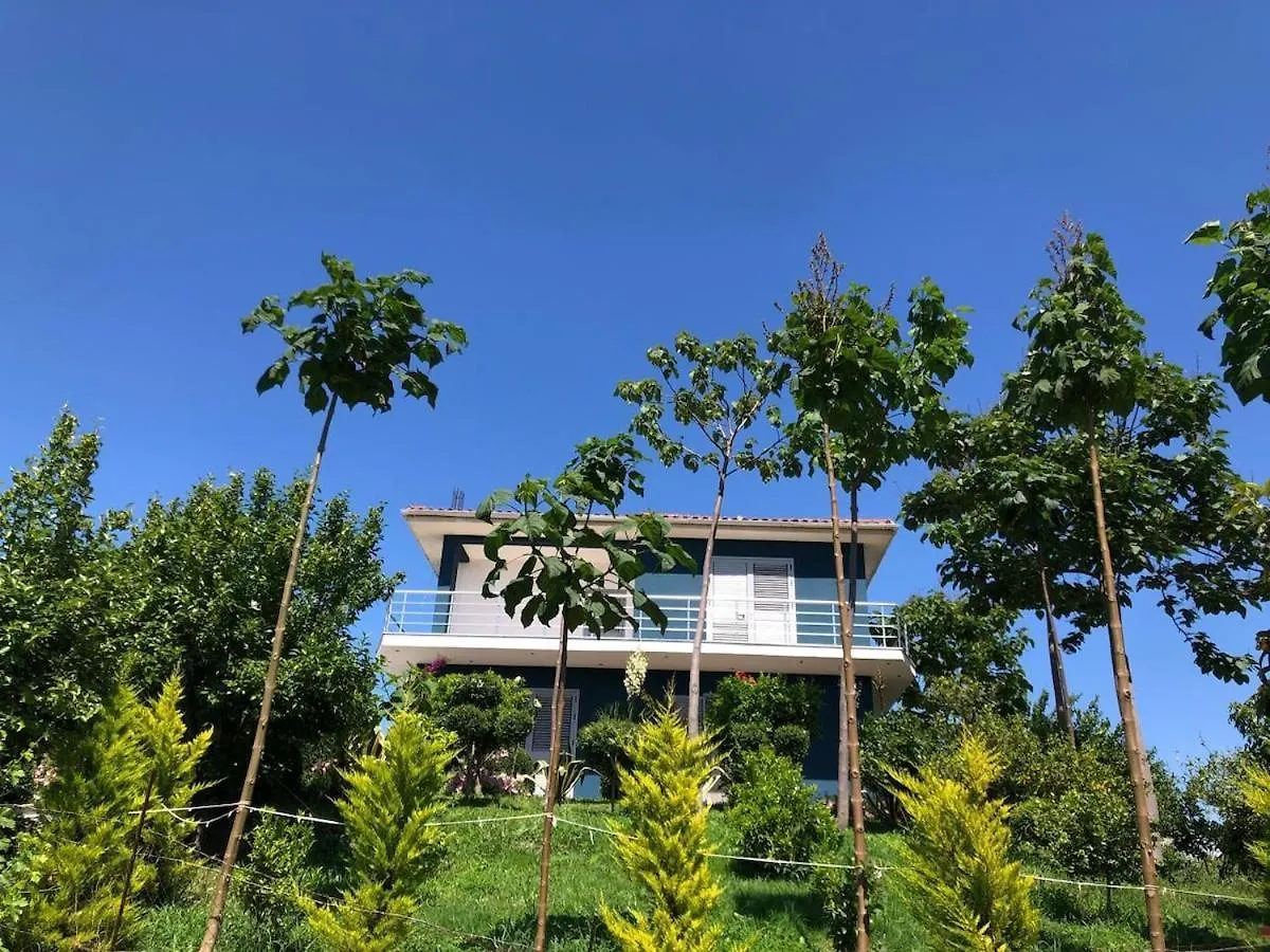 Blue Vila Дуррес